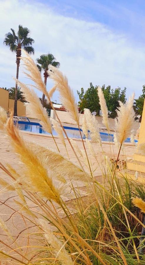 Appartement Apartamento Con Piscina En Ciudadela, Cala En Blanes à Cala'N Blanes  Extérieur photo